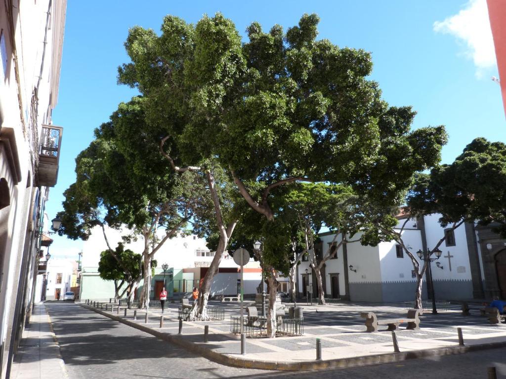La Casa De Vegueta Lejlighed Las Palmas de Gran Canaria Eksteriør billede
